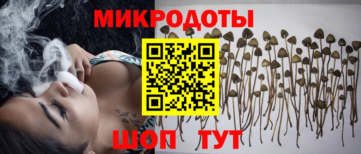 Сальск  Псилоцибиновые грибы MAGIC MUSHROOMS  Псилоцибиновые грибы мицелий  Вход с VPN 